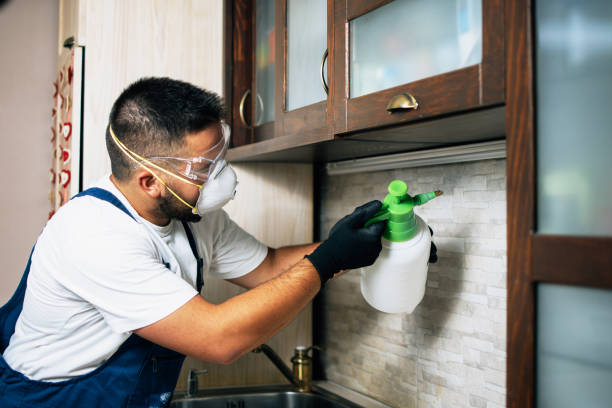 Best Wildlife Control Services  in Bryan, TX