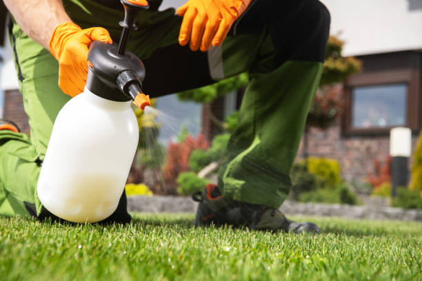 Best Spider Control Near Me  in Bryan, TX