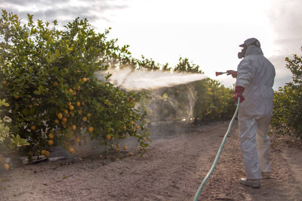 Best Pest Control Cost  in Bryan, TX