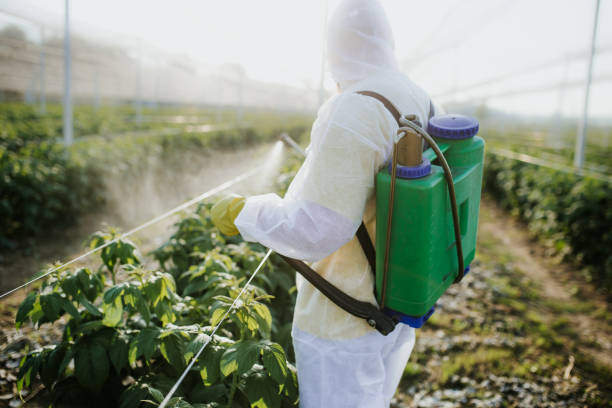 Pest Control Cost in Bryan, TX